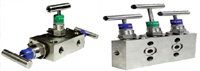 Manifold Valves Supplier Mumbai,Valves Manifolds Whoelsale Supply,2 Way Manifold Valves